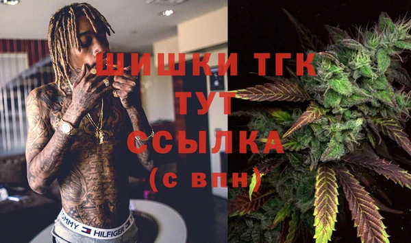 spice Алексин