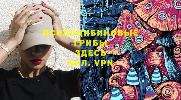 мдпв Абинск